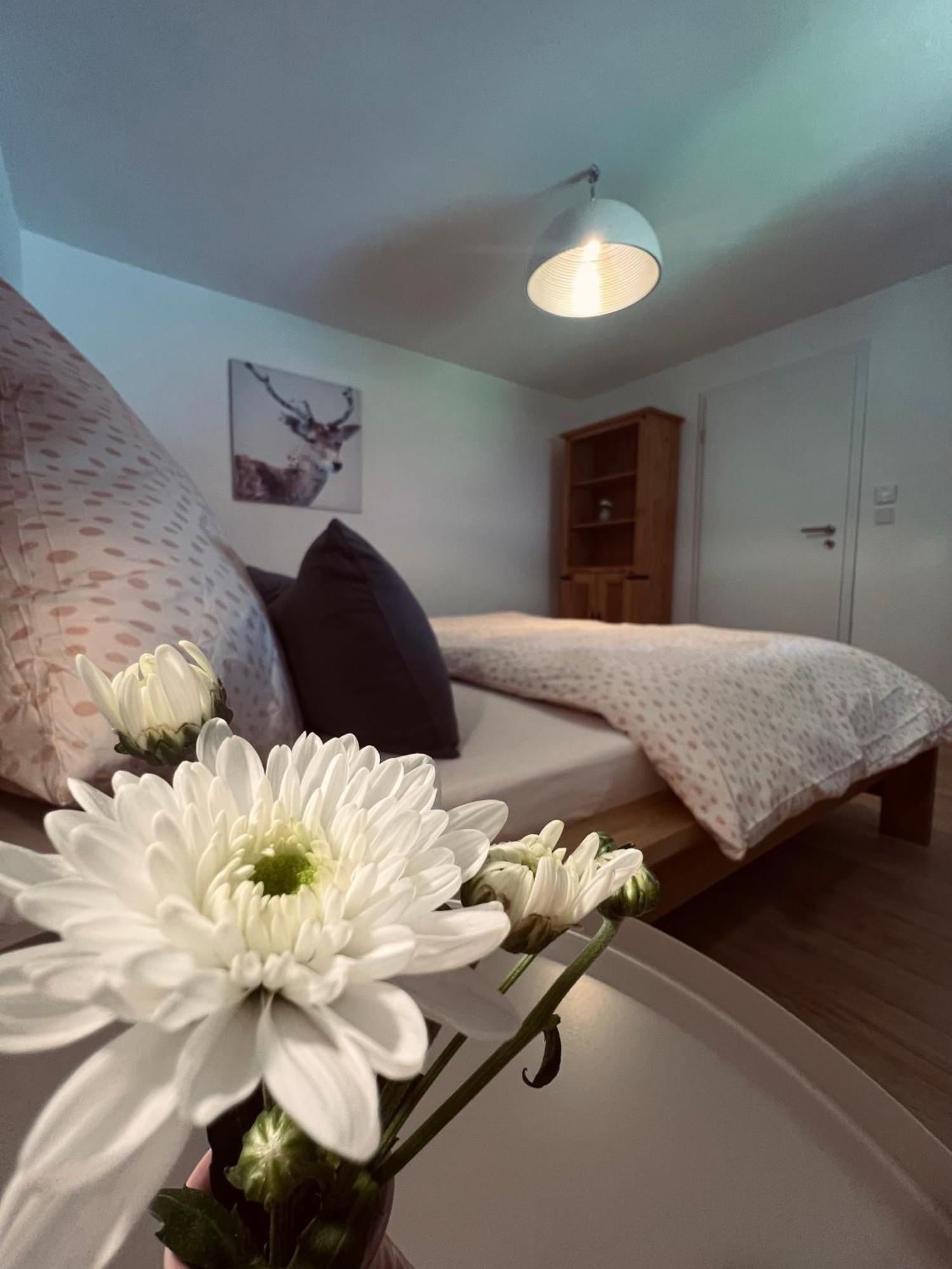 Ferienwohnung Leonie Oberau  Buitenkant foto